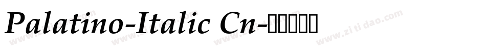 Palatino-Italic Cn字体转换